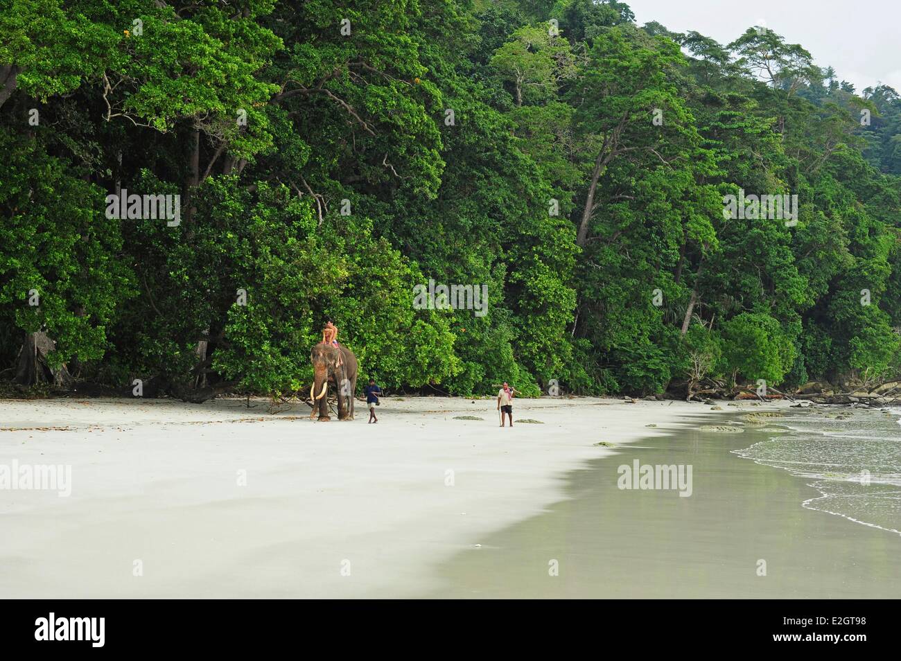 India Isole Andaman Havelock turisti su elefanti sulla spiaggia di sabbia bianca numero 7 Foto Stock