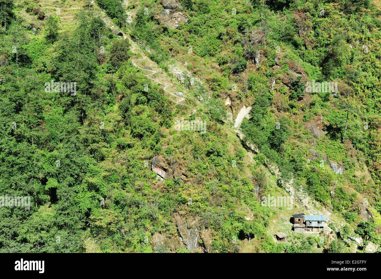 India stato del Bengala Occidentale Singalila Parco Nazionale di villaggi in Himalaya confinanti con il Sikkim Foto Stock