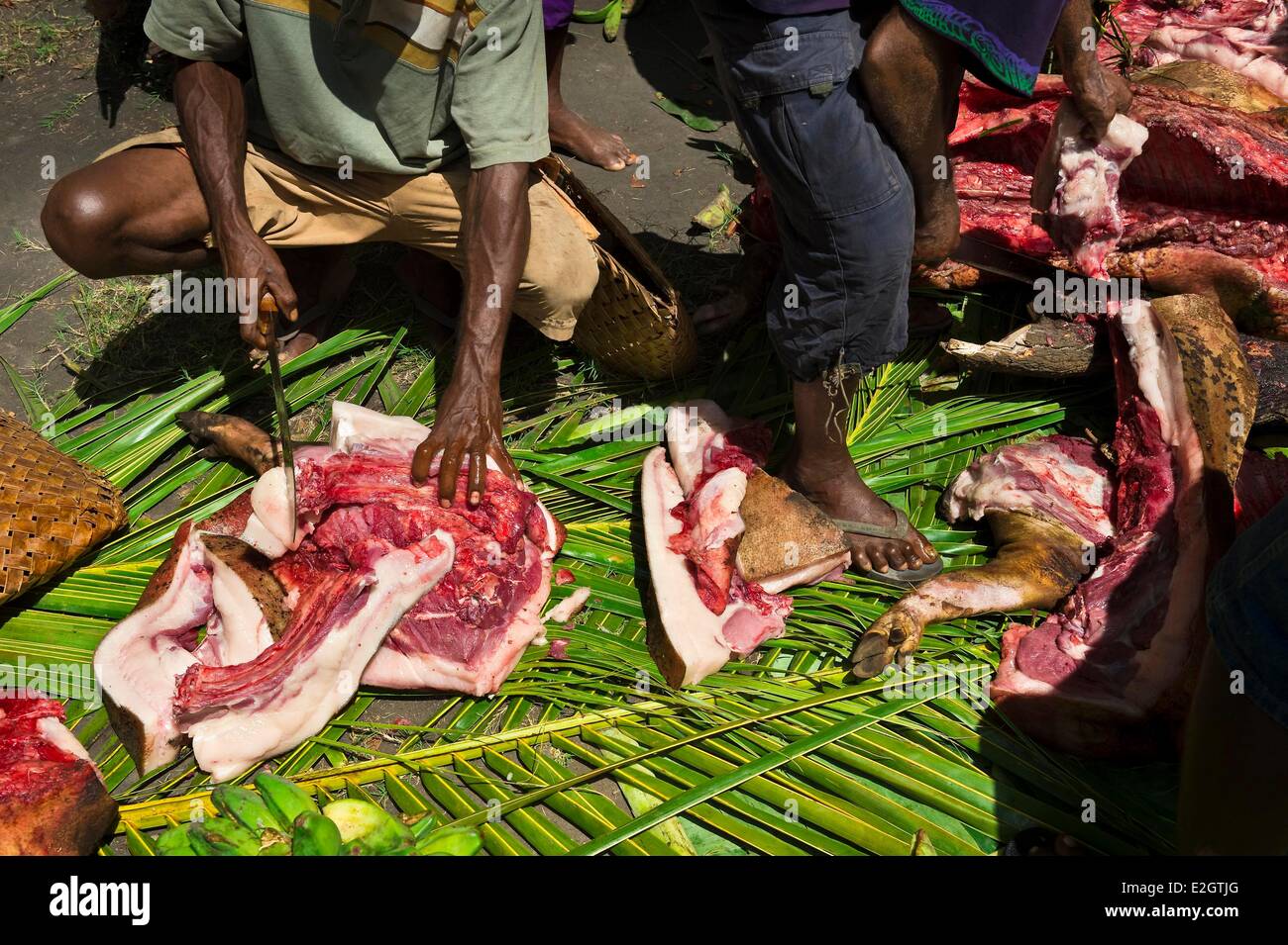 Papua Nuova Guinea arcipelago di Bismarck Penisola Gazelle nuova isola Gran Bretagna East New Britain provincia Rabaul Tolai cerimonia di compensazione suino abbattuto per la donazione Foto Stock