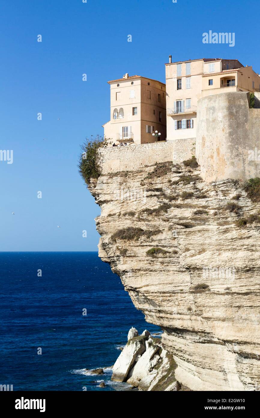 La Francia Corse du Sud Bonifacio centro storico arroccato sulla scogliera Foto Stock