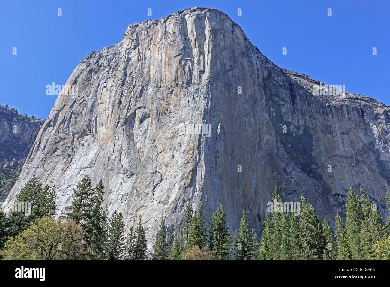 Stati Uniti California Sierra Nevada Parco Nazionale Yosemite elencati come patrimonio mondiale dall' UNESCO Yosemite Valley El Capitan di 3000 piedi monolito di granito Foto Stock