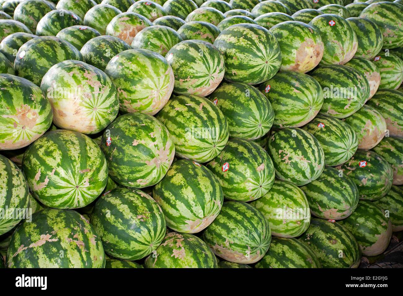 Il Brasile stato di Amazonas Amazon bacino del fiume Manaus cocomeri di mercato Foto Stock