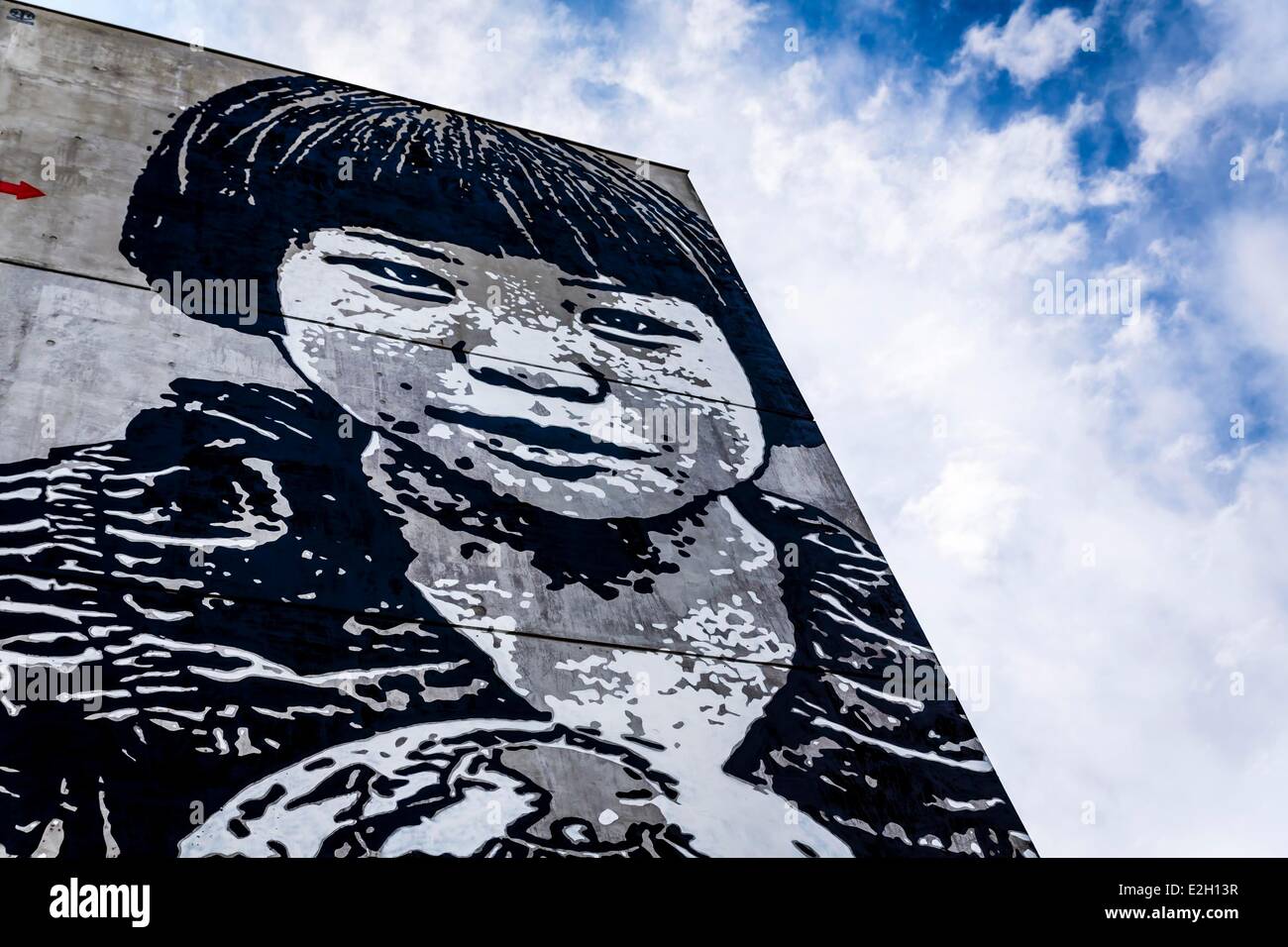 Francia Gironde Bordeaux affresco artista JEF AEROSOL a ingresso del gruppo ospedaliero Pellegrin Foto Stock