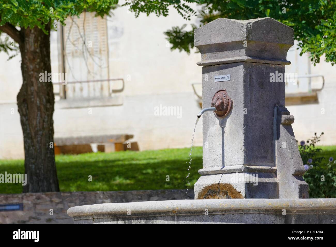 Francia Puy de Dome pianura Limagne Artonne fontana del villaggio Foto Stock