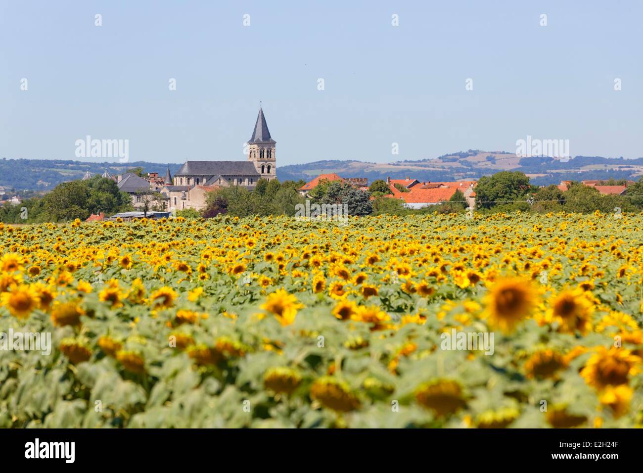 Francia Puy de Dome pianura Limagne Aubiat village Foto Stock