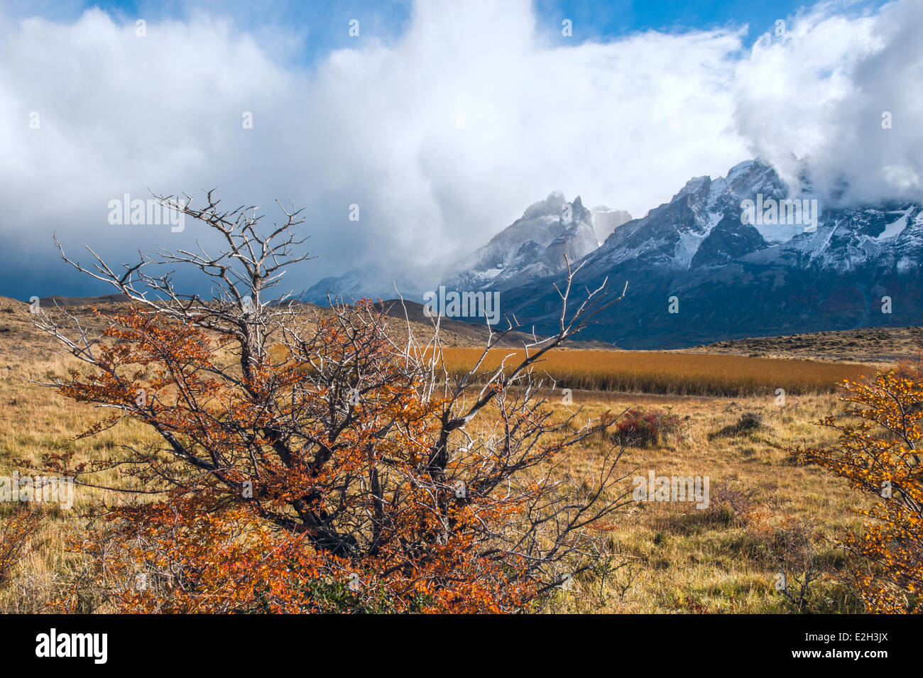 Autunno in Patagonia Foto Stock