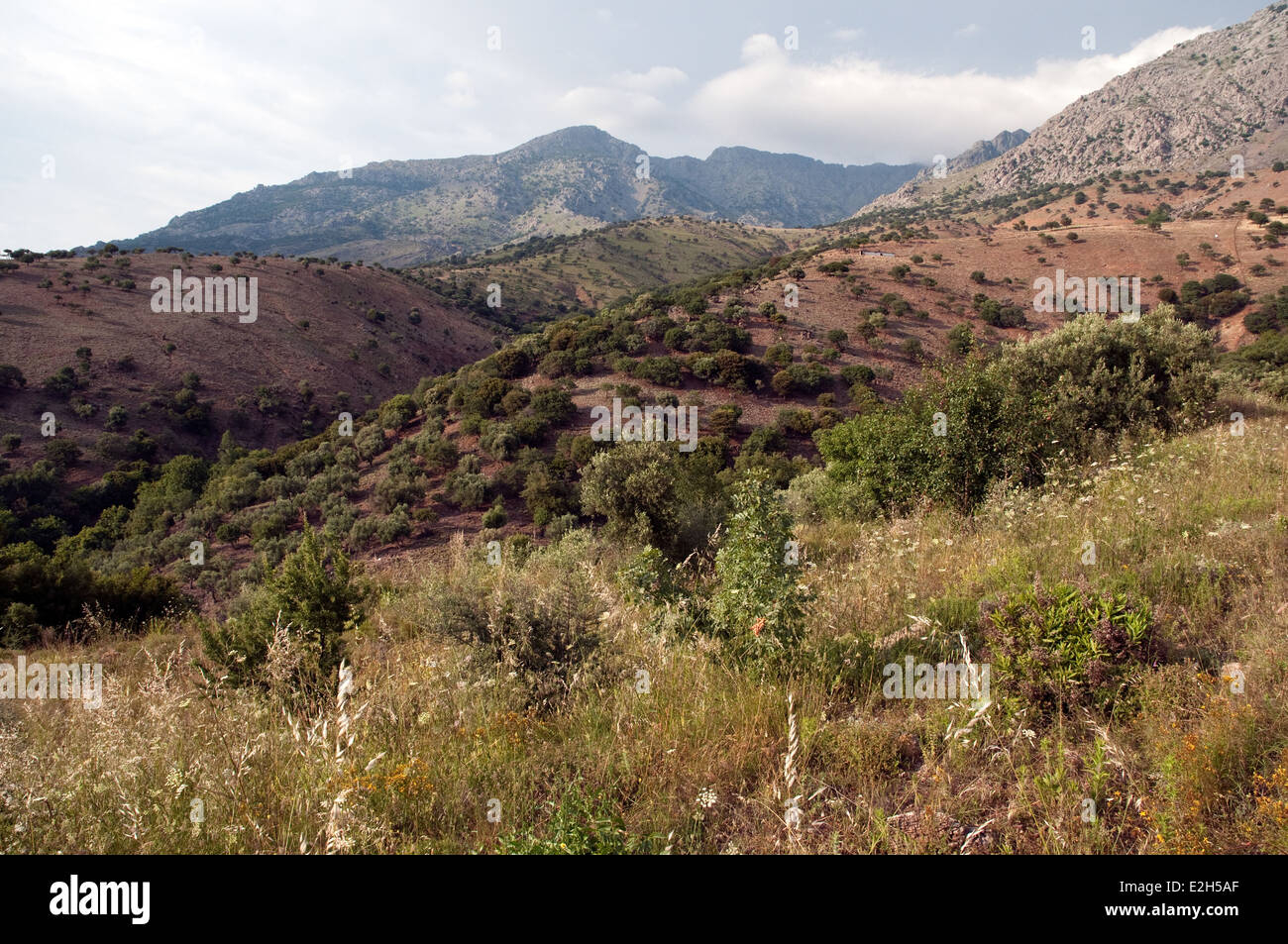 Terreno montuoso e arbustivo sull'isola settentrionale dell'Egeo di SAMOTHRAKI, in Tracia, Grecia settentrionale. Foto Stock