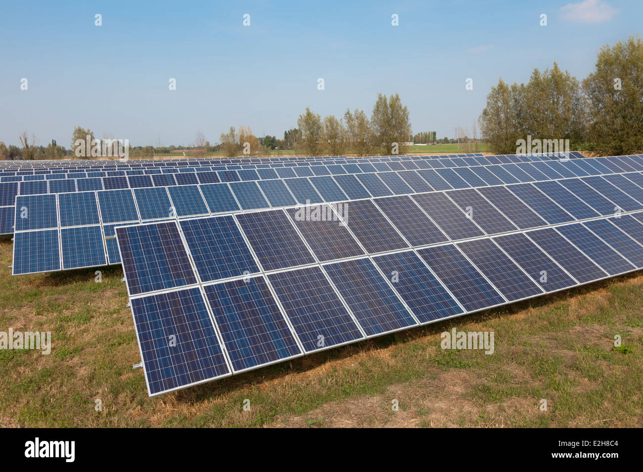 Fattoria solare fotovoltaico pannelli Foto Stock