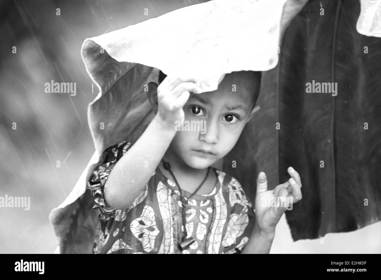 Bambini utilizza la struttura ad albero di banane per proteggersi dalla pioggia Foto Stock