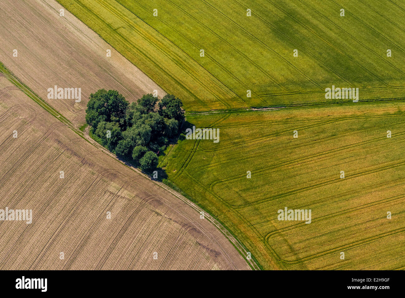 A forma di cuore copse, i campi e i sentieri, vista aerea, le date, la zona della Ruhr, Nord Reno-Westfalia, Germania Foto Stock