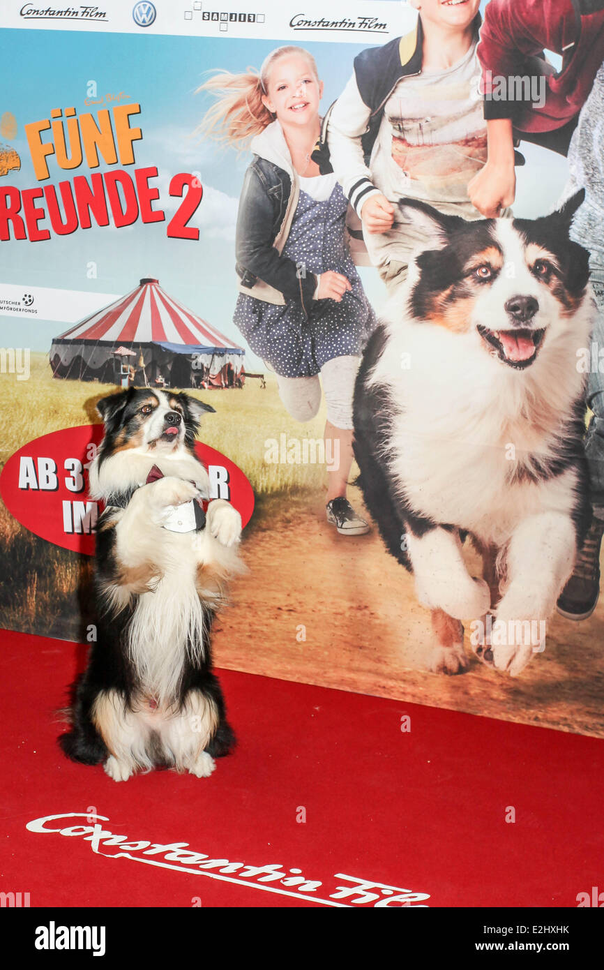 Timmy all'Fuenf Freunde 2 premiere a Cinemaxx movie theater. Dove: Monaco di Baviera, Germania Quando: 27 Gen 2013 Foto Stock
