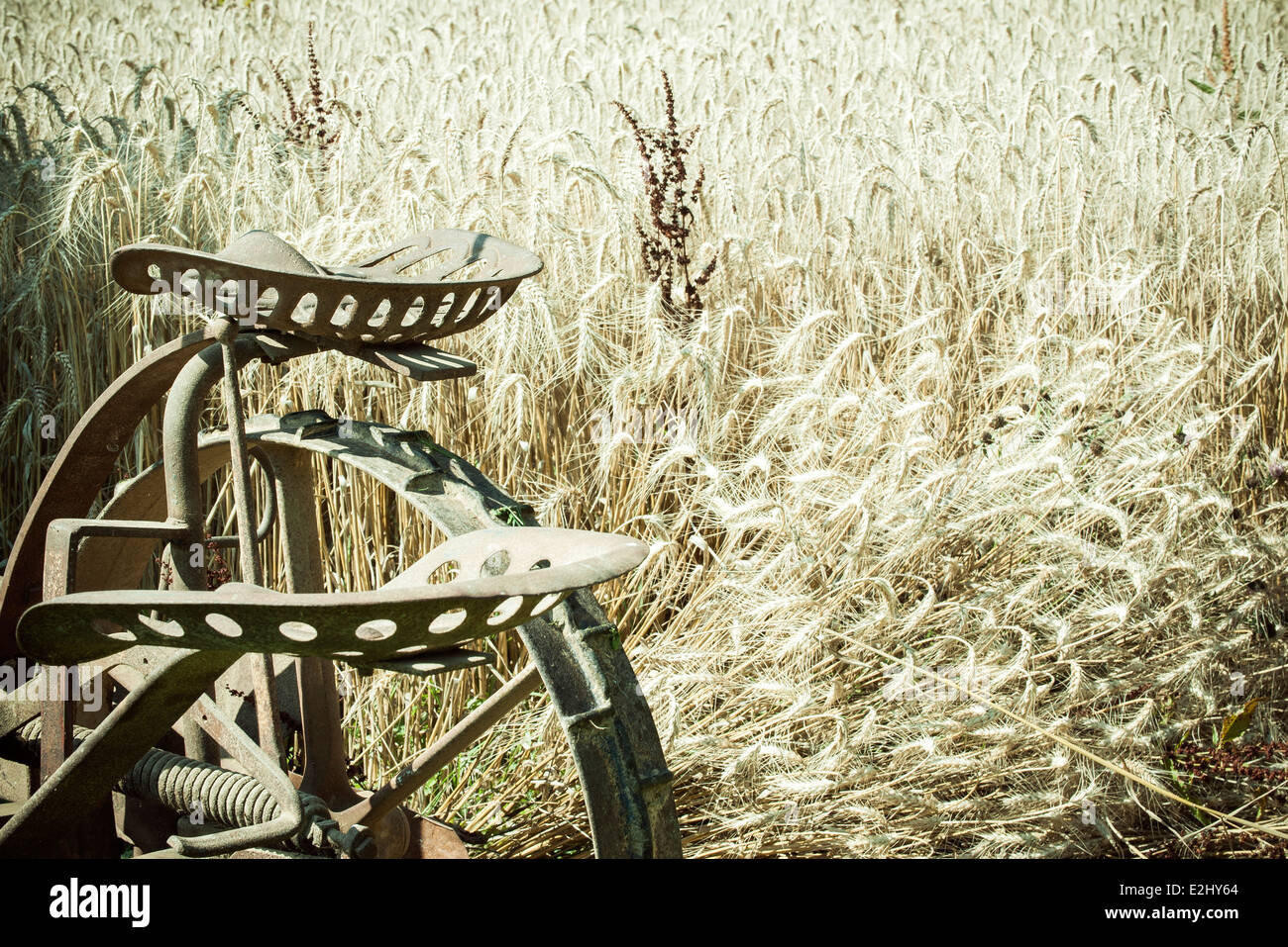 Macchina di aratura in wheatfield Foto Stock