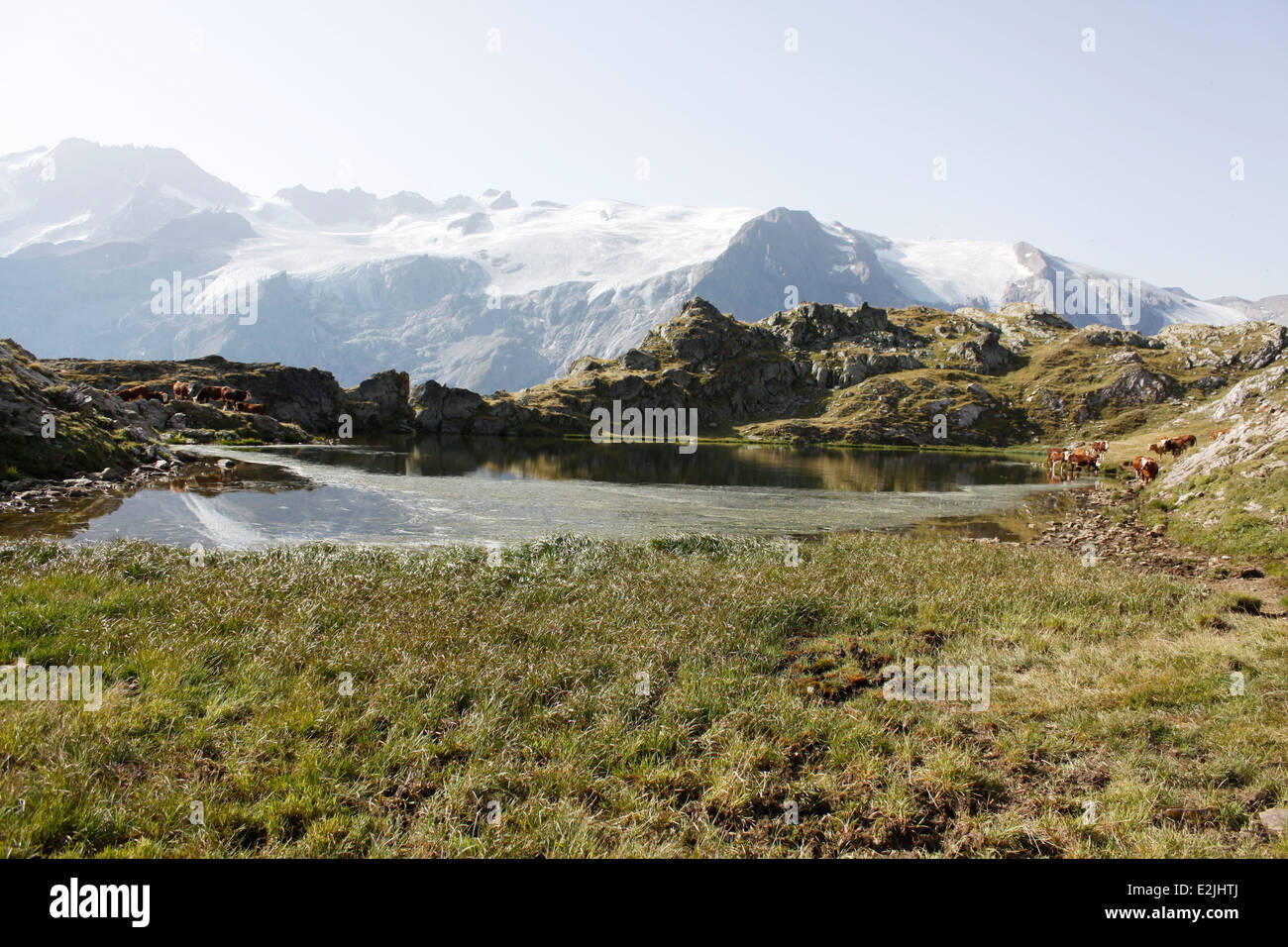 Escursionismo sul plateau de Emparis, Massif de l'Oisans, vicino al parco naturale di Les Ecrins, Isère, Rhône-Alpes, in Francia. Foto Stock