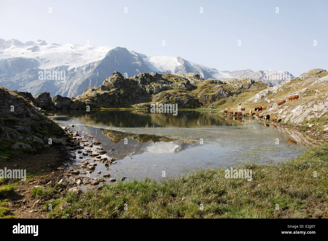Escursionismo sul plateau de Emparis, Massif de l'Oisans, vicino al parco naturale di Les Ecrins, Isère, Rhône-Alpes, in Francia. Foto Stock