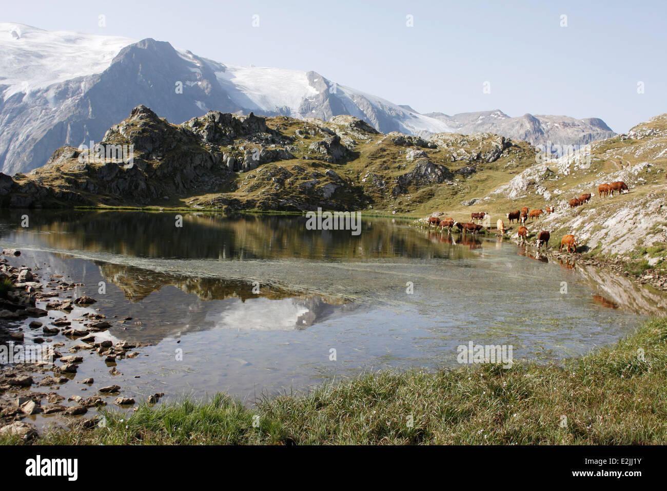 Escursionismo sul plateau de Emparis, Massif de l'Oisans, vicino al parco naturale di Les Ecrins, Isère, Rhône-Alpes, in Francia. Foto Stock