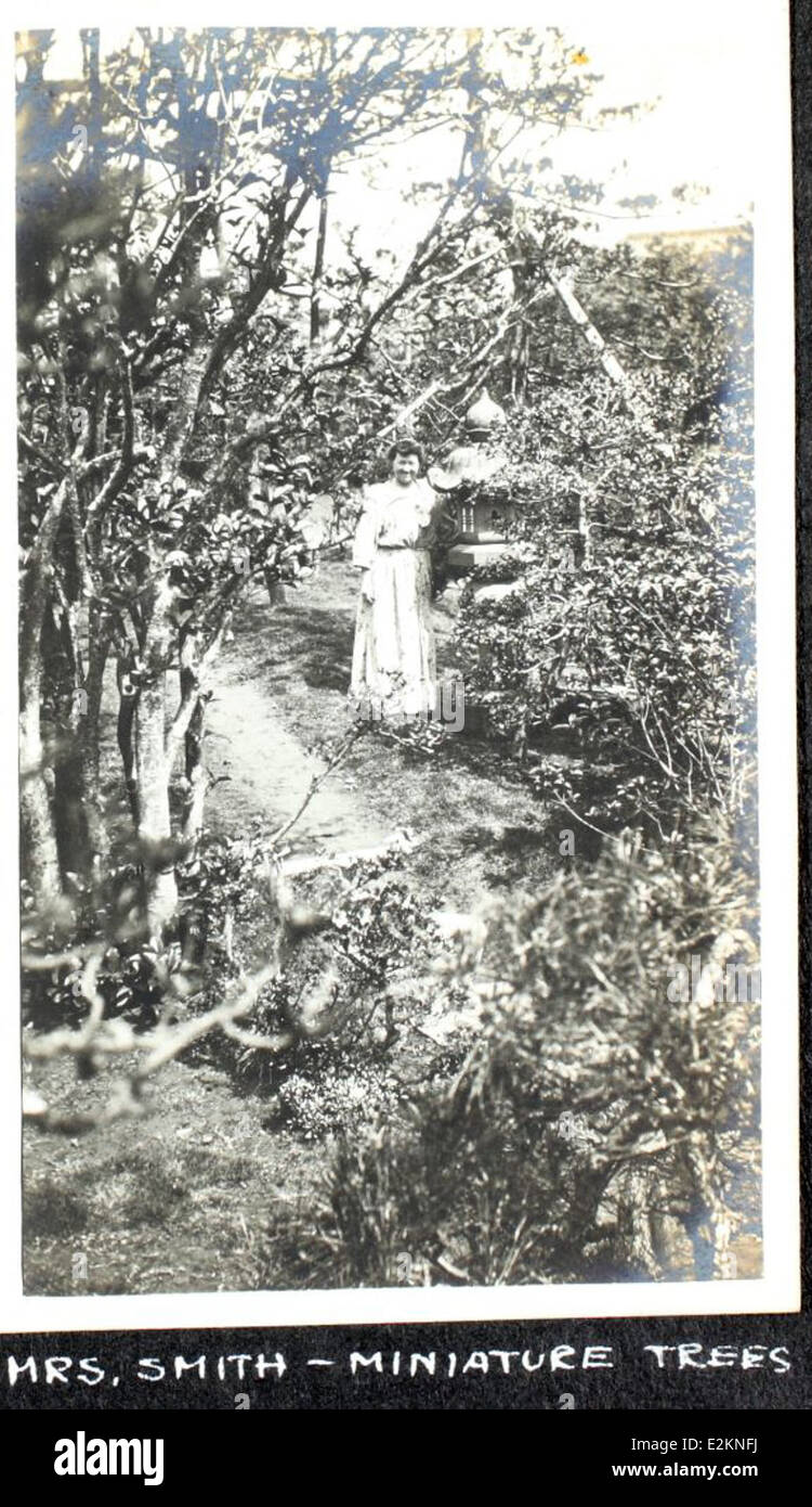 Questa immagine dell'album mette in evidenza l'eredità di Albert Menasco e il suo coinvolgimento nell'era degli sbarnstormi dell'aviazione. Menasco era noto per i suoi innovativi progetti di aerei, e il suo lavoro nell'aviazione all'inizio del XX secolo contribuì a plasmare lo sviluppo del trasporto aereo civile. Foto Stock