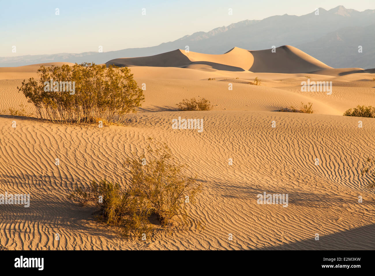 Le dune di sabbia di Mesquite piatto nella Valle della Morte nel deserto - California Foto Stock