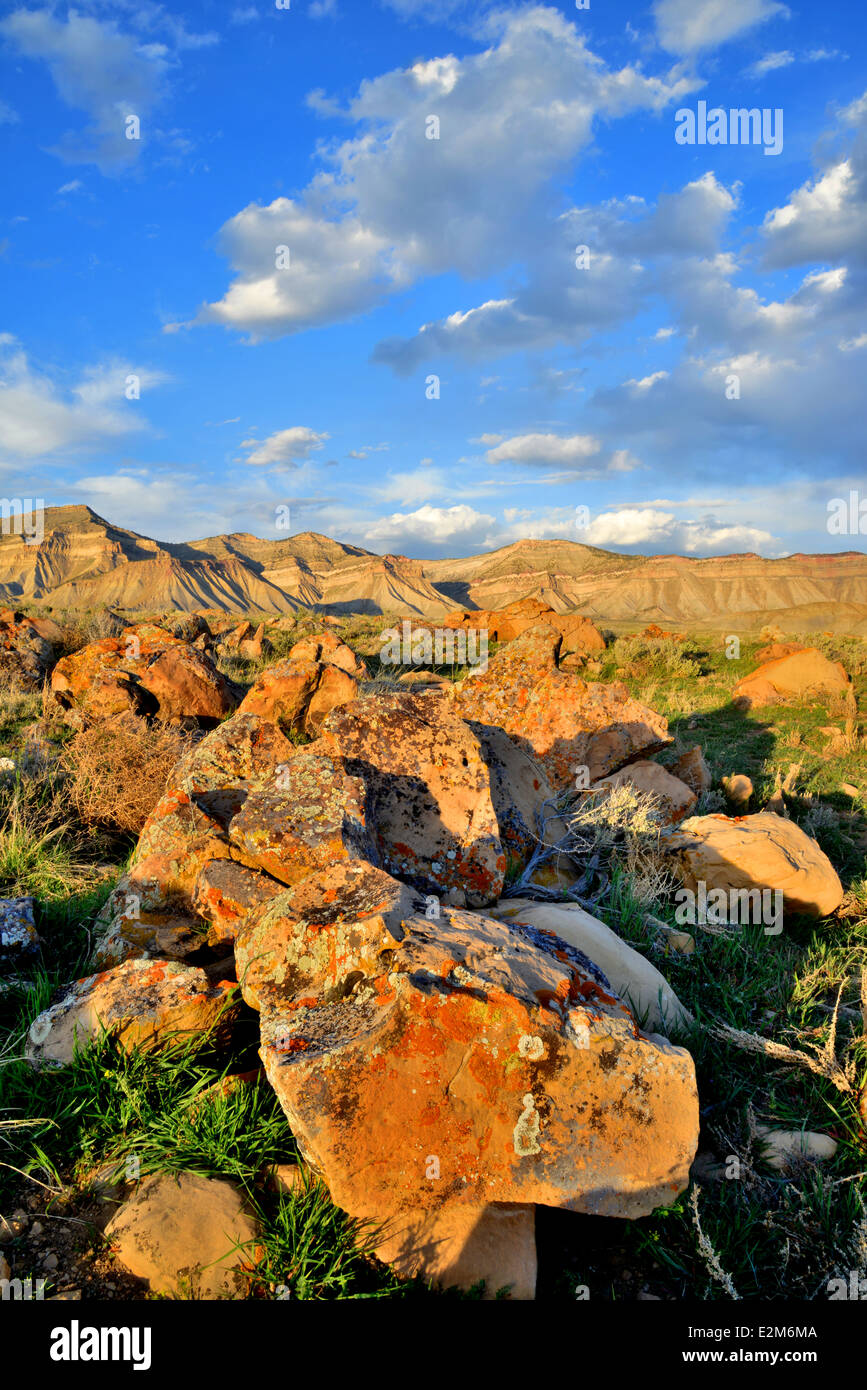 Luce della Sera su lichen coperto rocce lungo 27 1/4 strada in Prenota Cliffs Recreation area nord del Grand Junction, Colorado Foto Stock