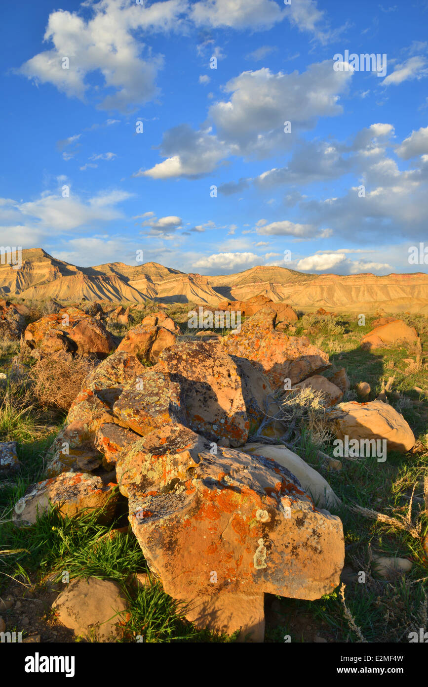 Luce della Sera su lichen coperto rocce lungo 27 1/4 strada in Prenota Cliffs Recreation area nord del Grand Junction, Colorado Foto Stock
