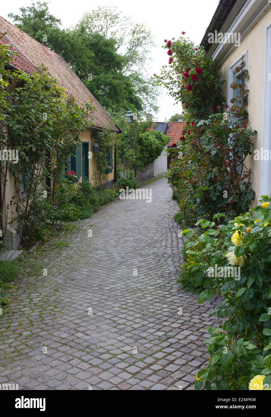 Una tipica strada nella città medievale di Visby, sull'isola di Gotland, Svezia Foto Stock