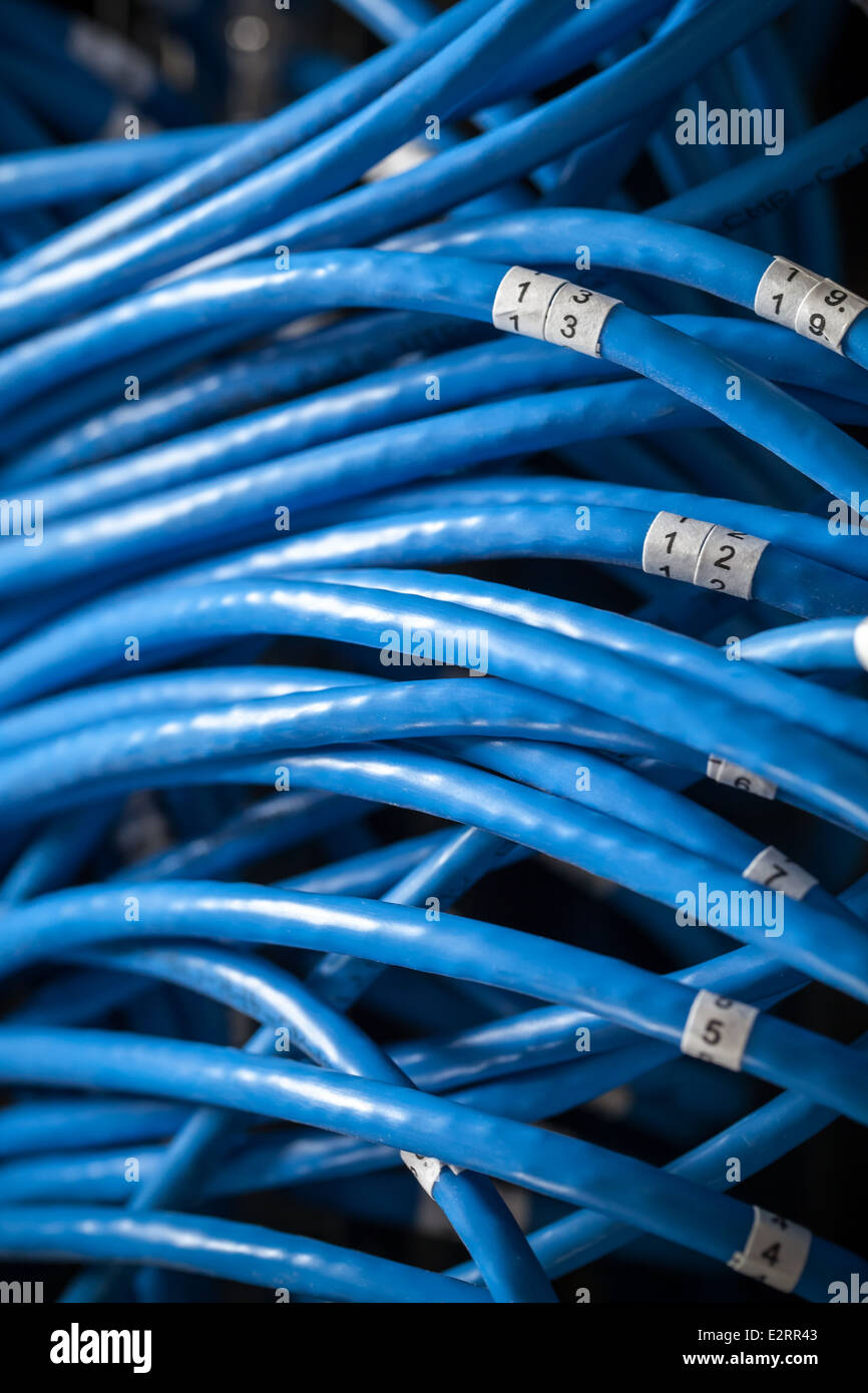 Grande gruppo di blu utp i cavi per la connessione Internet con i numeri Foto Stock