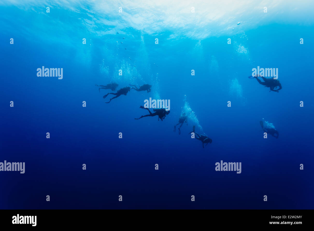 Gruppo di subacquei in oceano aperto lasciando sentieri di bolla in acqua chiara Foto Stock