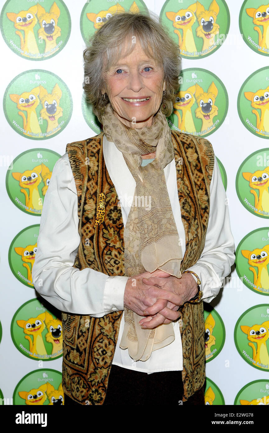 Il Burgess Wetnose Awards 2013 tenutasi al Jumeirah Carlton Tower Hotel - Arrivi con: Virginia McKenna dove: Londra, Regno Unito quando: 11 Mar 2013 Foto Stock