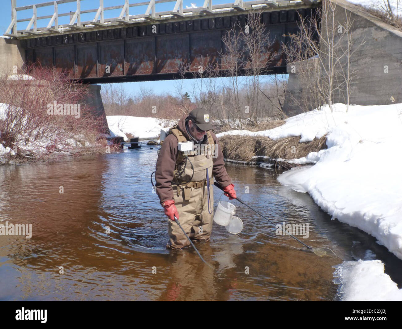 Matt Symbal che conduce la pesca elettrolitica sul fiume Rock nella contea di Alger, Michigan. Lo U.S. Fish and Wildlife Service utilizza questo metodo per monitorare le larve di lamprea di mare invasive come parte degli sforzi per gestire le specie acquatiche e proteggere gli ecosistemi locali. Foto Stock