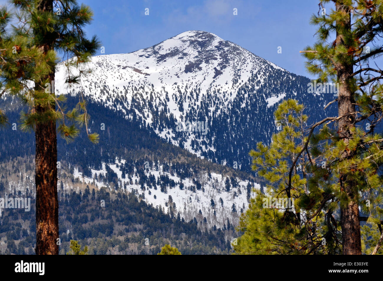 Agassiz Peak Foto Stock