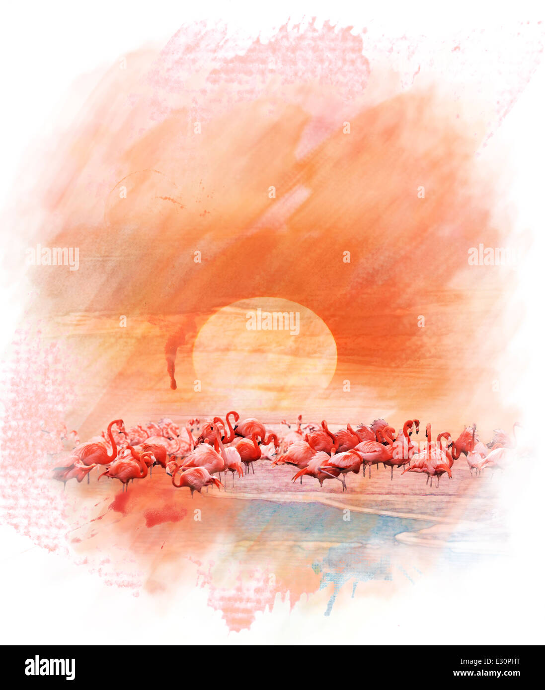Acquerello pittura digitale dei fenicotteri rosa al tramonto Foto Stock