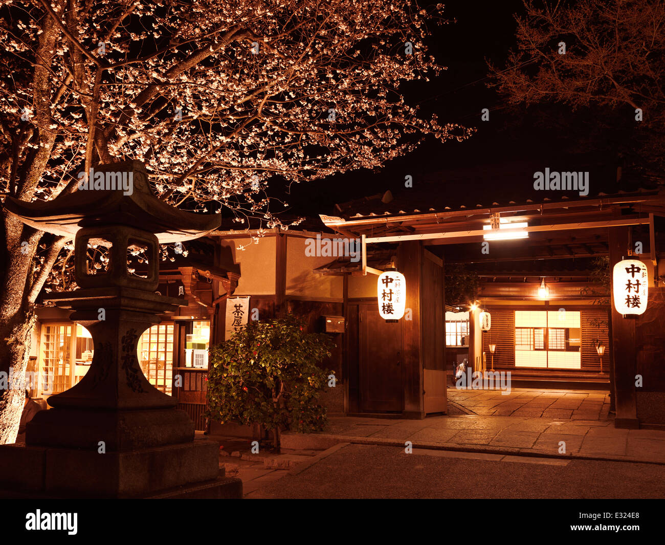 Ristorante giapponese entrata con la fioritura dei ciliegi in notturna a Gion, Kyoto, Giappone 2014 Foto Stock