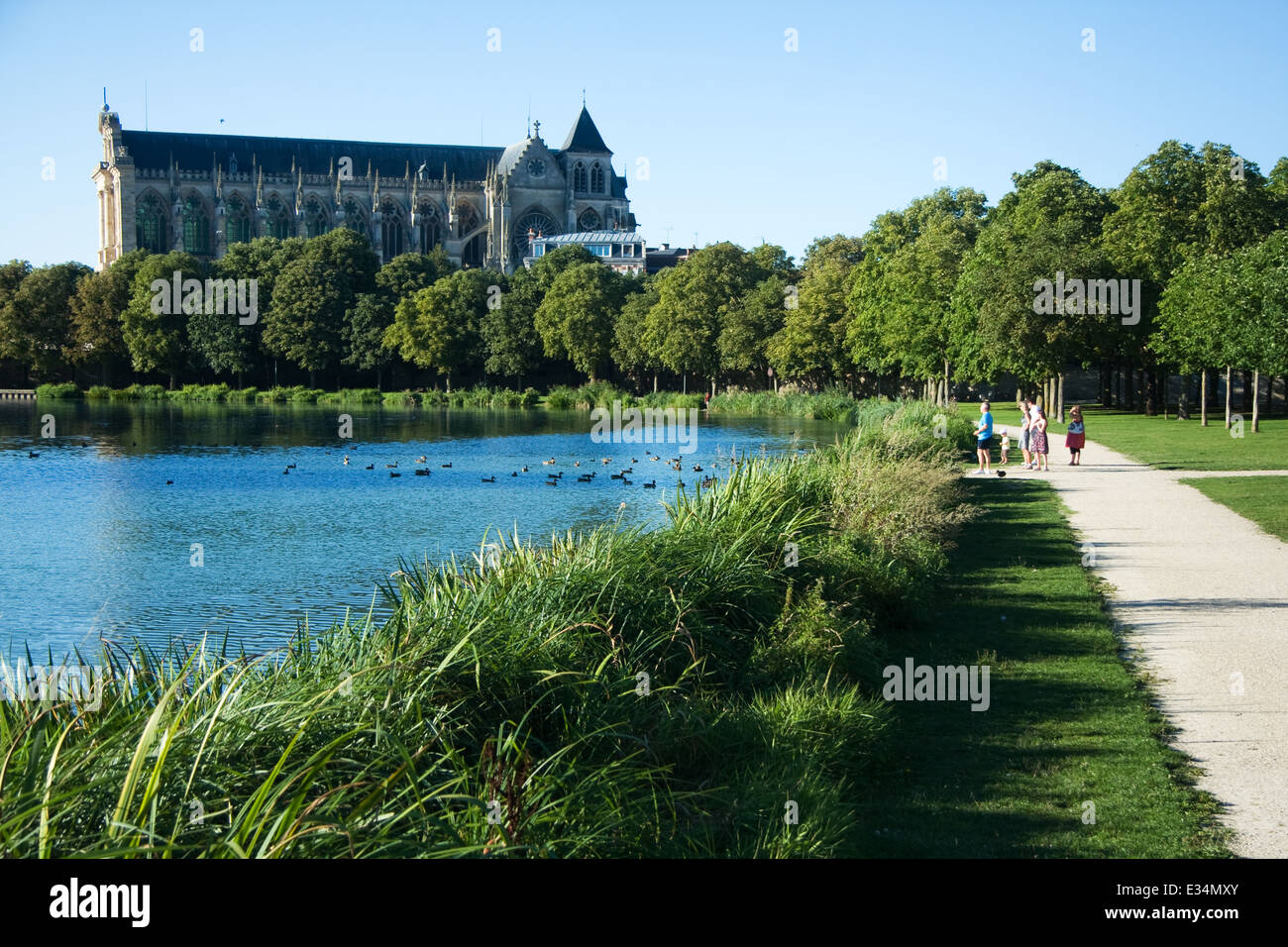 Chalons en Champagne Tree Riverside Francia Foto Stock