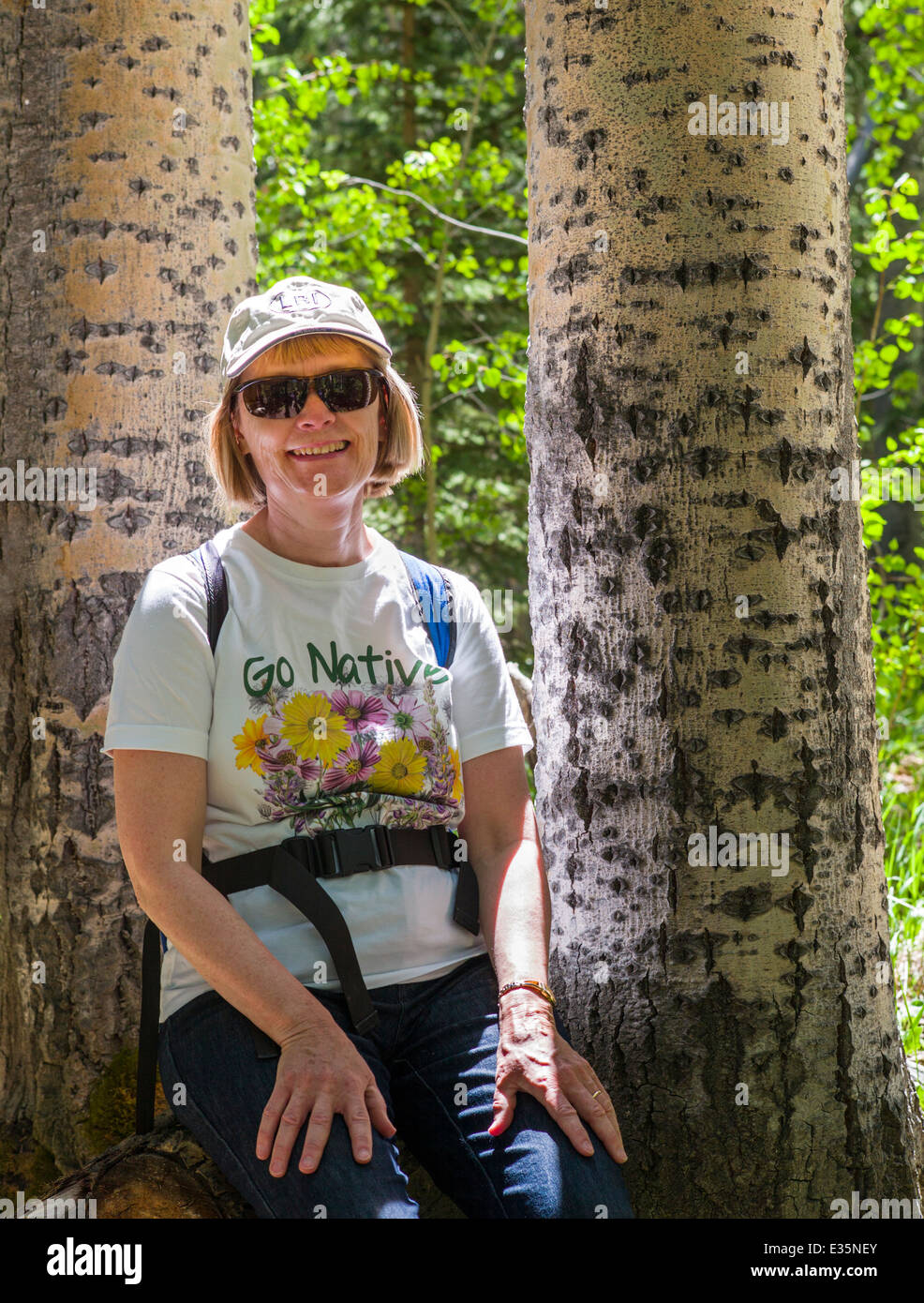 Fotografia di donna sulla passeggiata, pausa tra alberi di Aspen, Sud Fooses Creek, Colorado, STATI UNITI D'AMERICA Foto Stock
