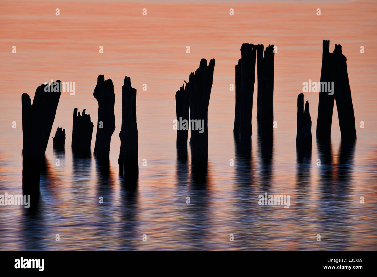 Resti di palificazioni di dock per tenere ferma la fotocamera nel grande lago di Lago Huron, Michigan, Stati Uniti d'America. Foto Stock