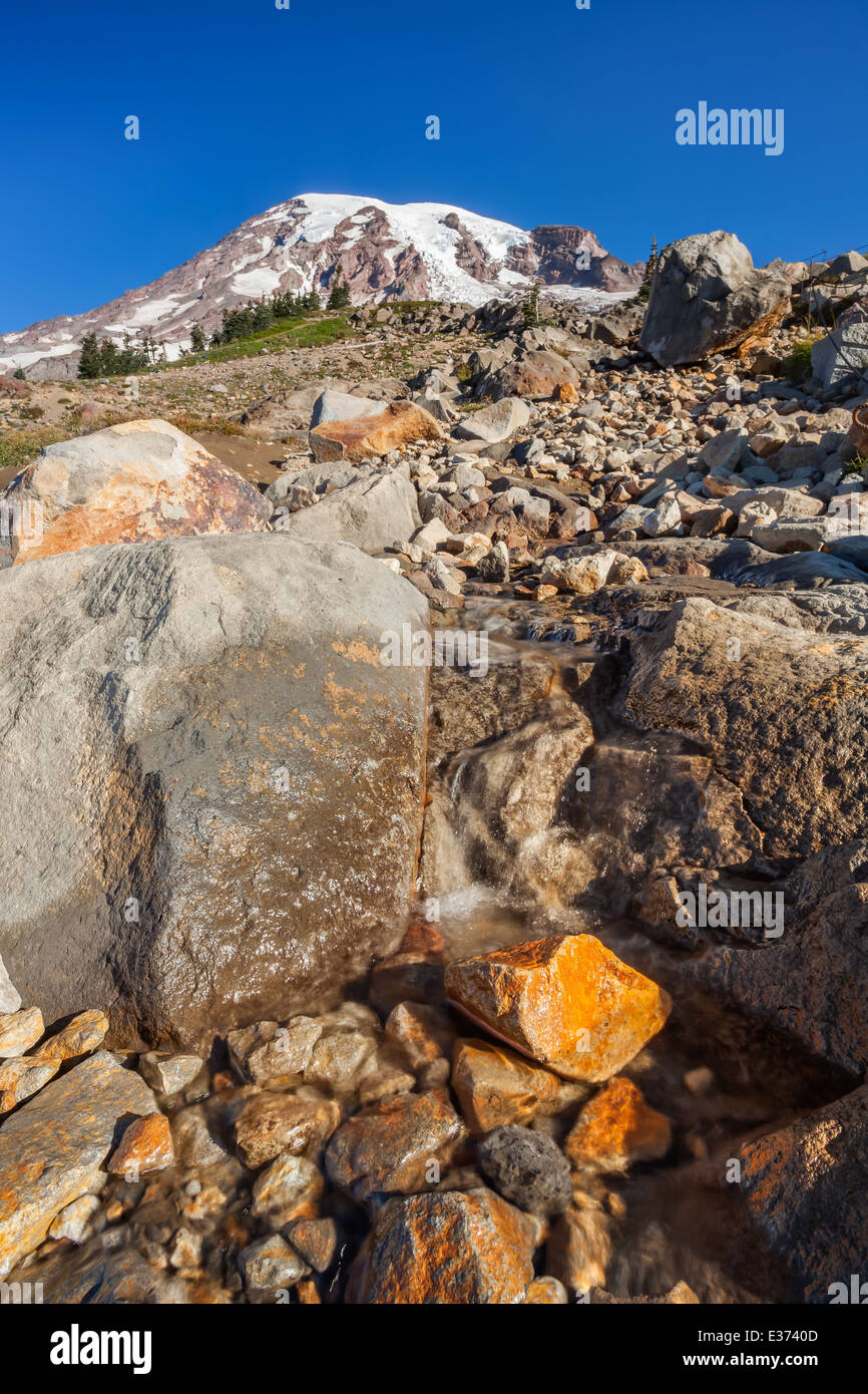 Paesaggio roccioso presso il Parco Nazionale del Monte Rainier, Washington Foto Stock
