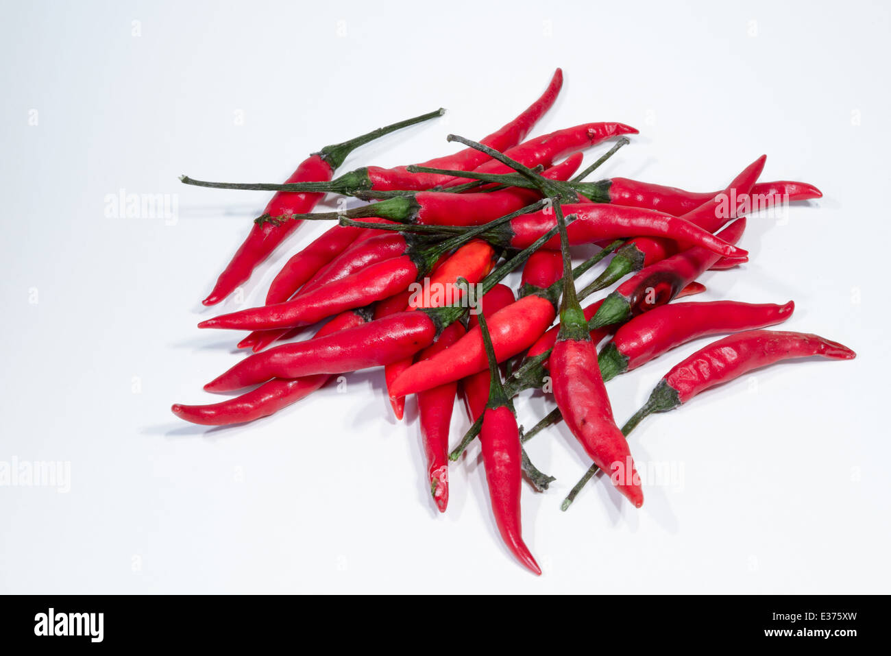 Caldo fresco piccante peperoni Foto Stock