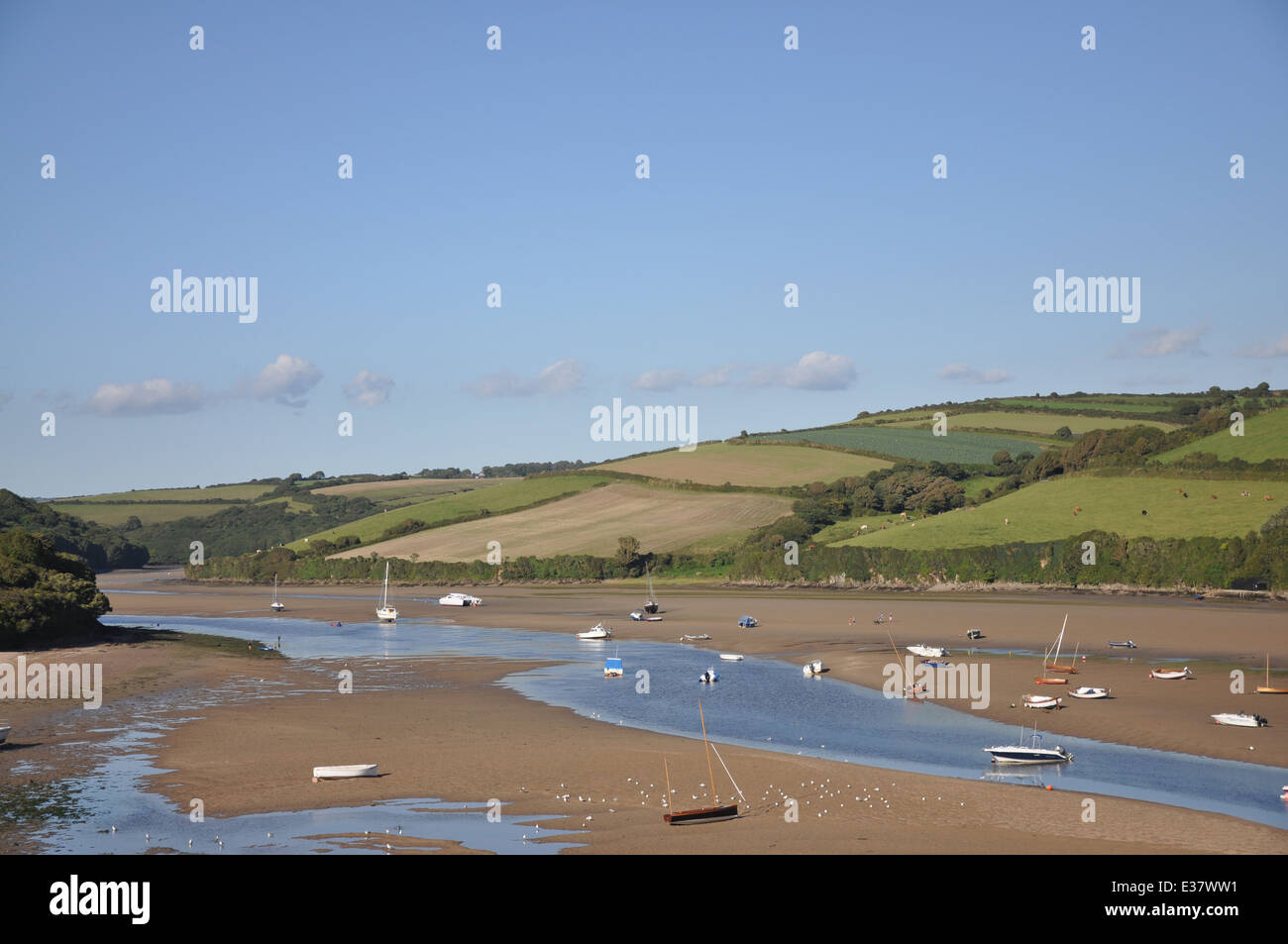 Il fiume Avon estuario in Bantham nel sud prosciutti, Devon, Regno Unito Foto Stock