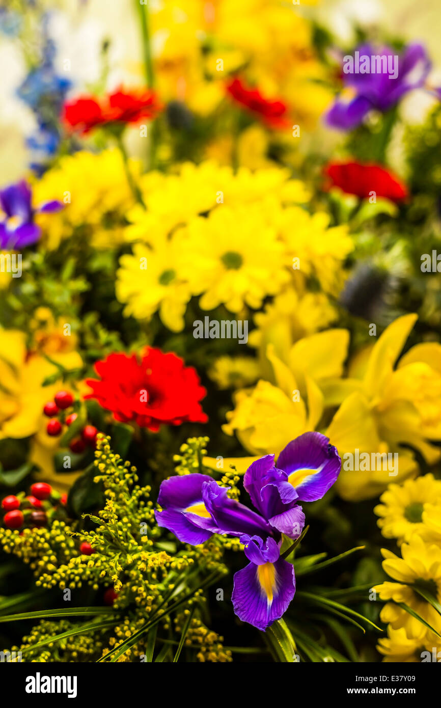 Un colorato bouquet di fiori Foto Stock