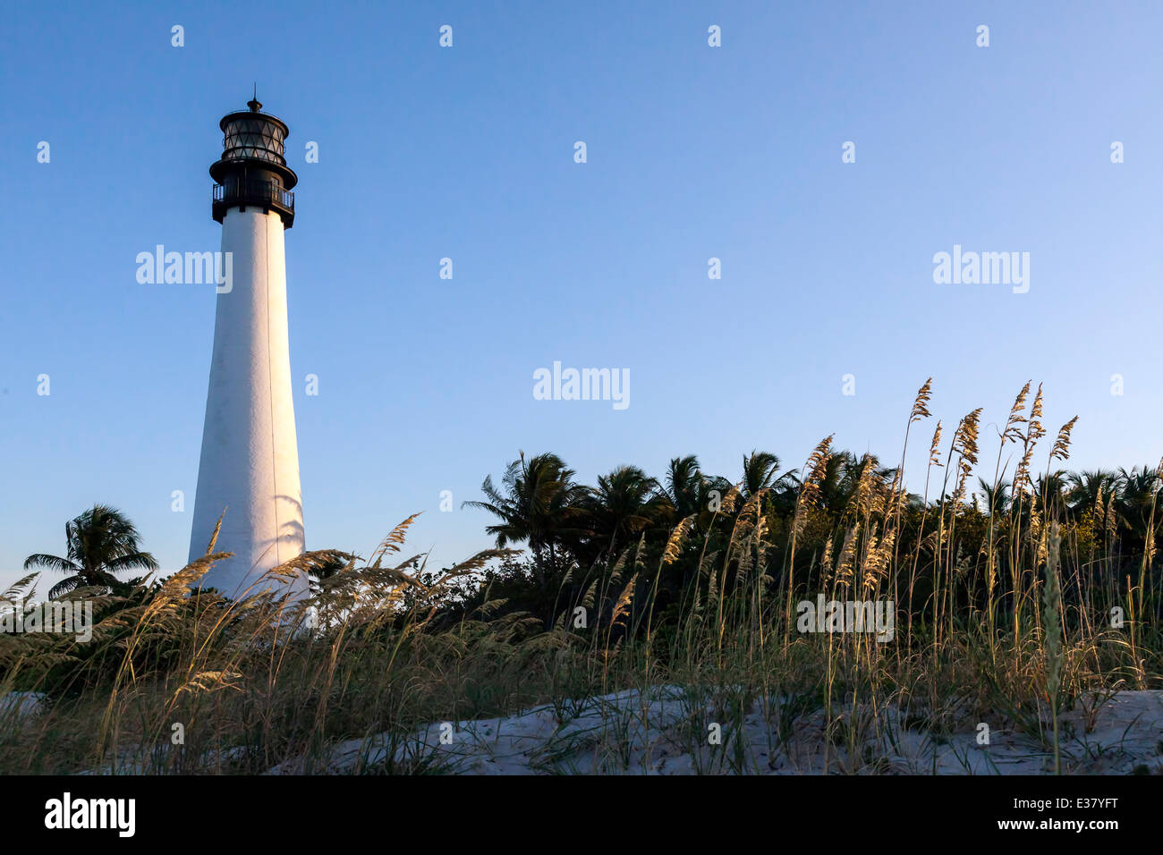 Storico Cape Florida Lighthouse situato nel Bill Baggs Cape Florida State Park su Key Biscayne, Miami, Florida, Stati Uniti d'America. Foto Stock