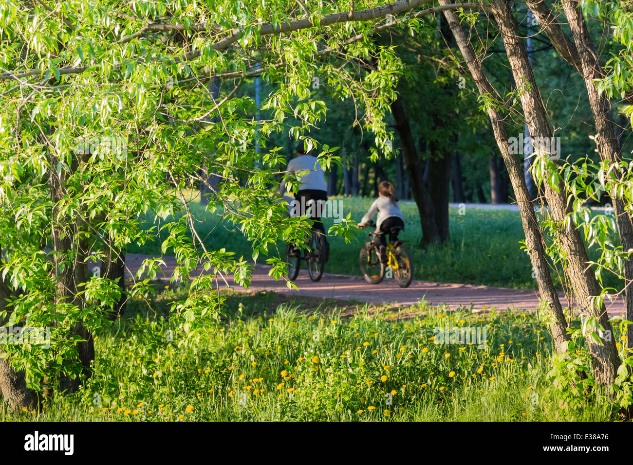 Bike patch con due ciclisti in ombra profonda nel verde del parco in una giornata di sole. Profondità di campo Foto Stock