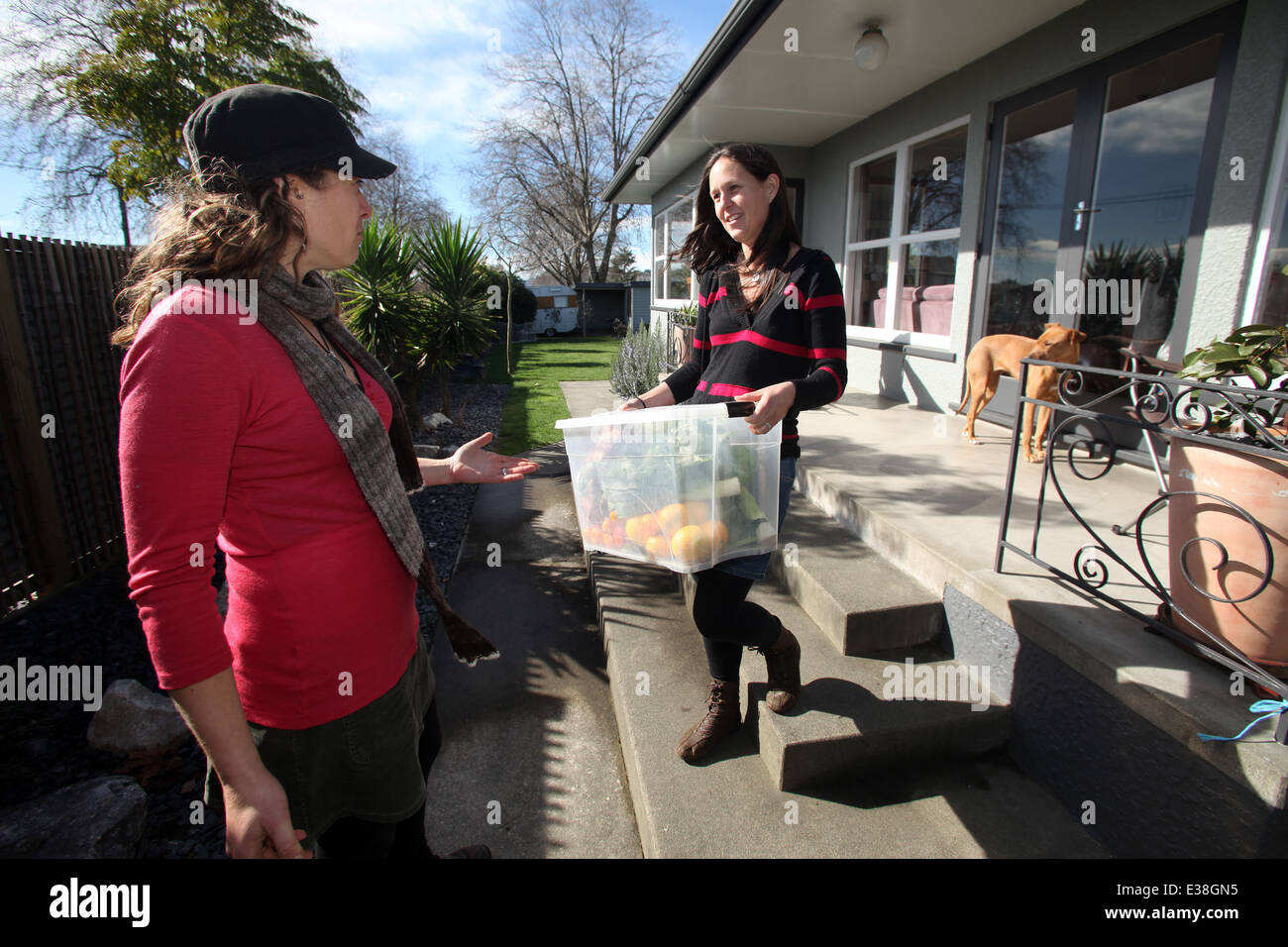 Donna offrendo un vegetale organico casella per un cliente in Richmond, Nelson, Nuova Zelanda Foto Stock