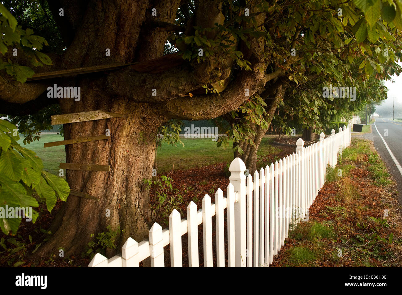 Kids tree house lungo la strada di campagna Foto Stock