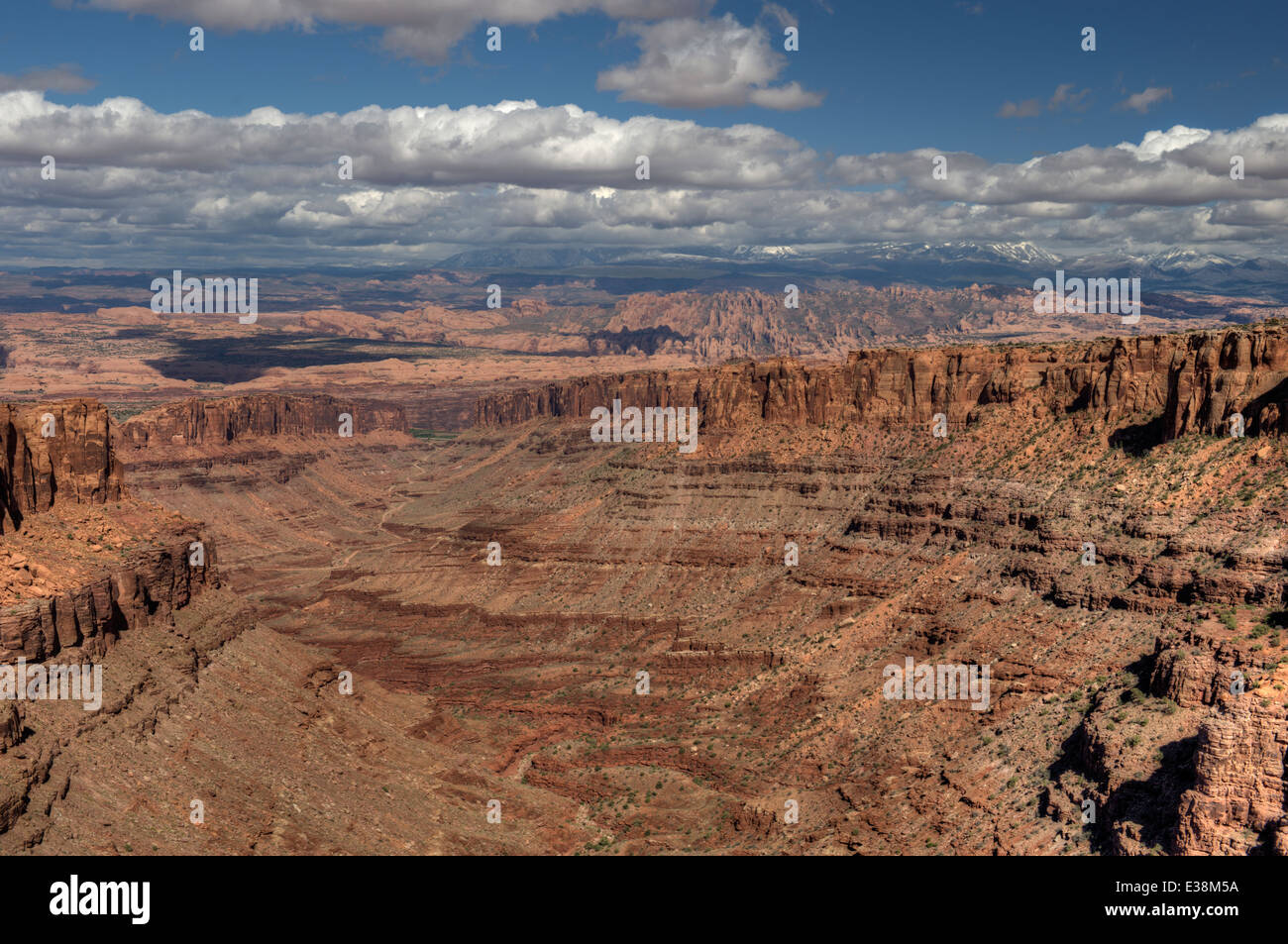 Canyon lungo, vicino a Moab, Utah. La Sal Mountains sono in distanza. Foto Stock