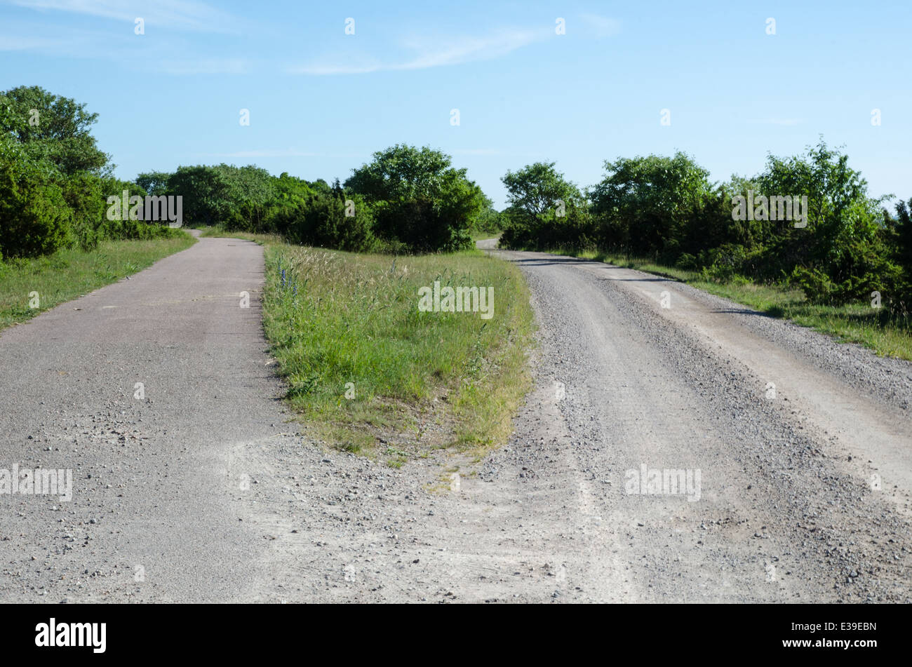 Scegli il modo giusto di due diverse strade di campagna in un paesaggio estivo Foto Stock