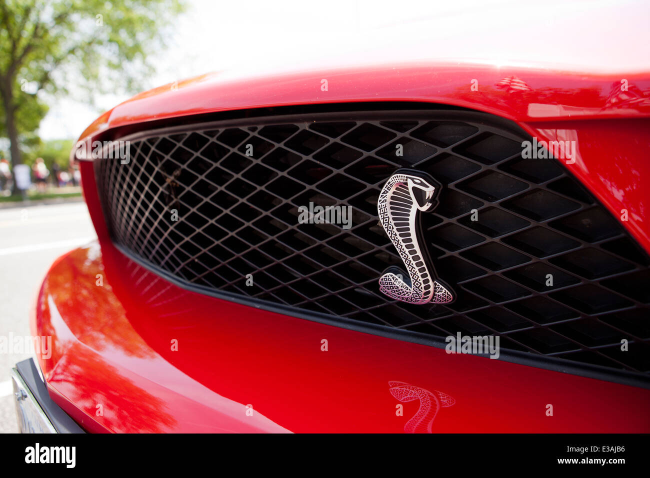 2014 Ford Mustang Shelby GT500 badging - USA Foto Stock