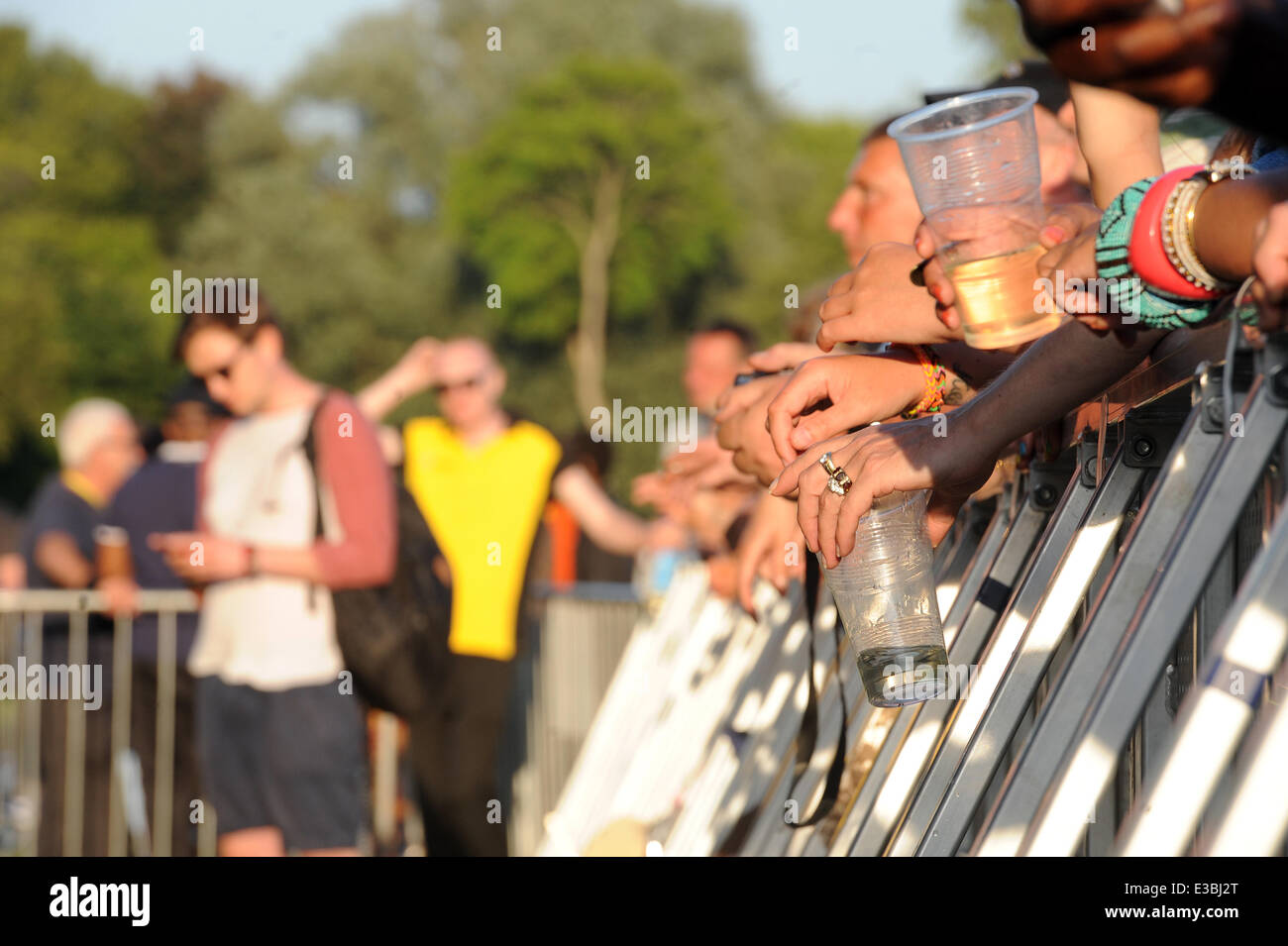 Africa Oye Festival 2014. Sabato 21 e domenica 22 giugno 2014. Campo di revisione, Sefton Park, Liverpool, in Inghilterra, Regno Unito. Folla e mani alla barriera, parte anteriore del palco Credito: David Colbran/Alamy Live News Foto Stock