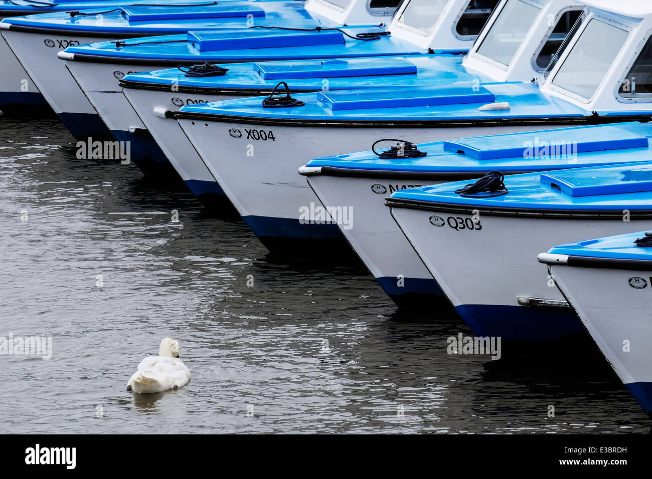 Noleggio barche ormeggiate sulla Norfolk Broads. Foto Stock
