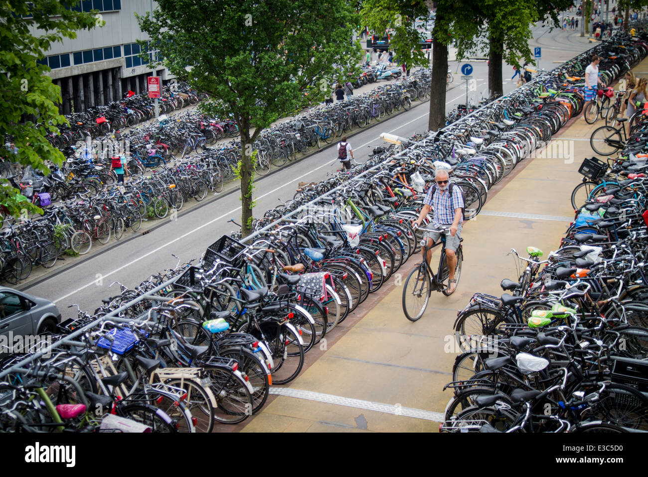 Centinaia di biciclette ad un ciclo al parcheggio presso la stazione centrale di Amsterdam Paesi Bassi bike Parcheggio biciclette Foto Stock