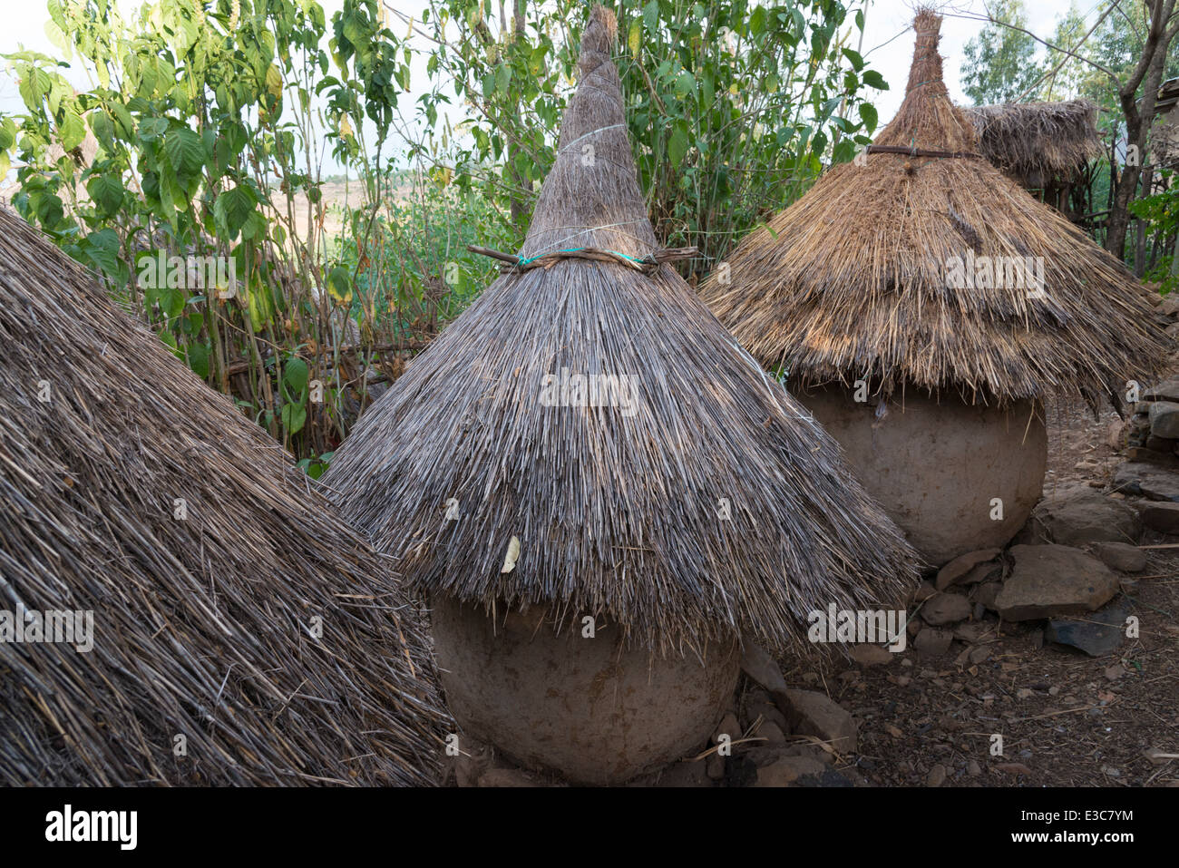 Lo stoccaggio dei raccolti case. Awra Amba villaggio ideologica. Nord dell'Etiopia. Foto Stock