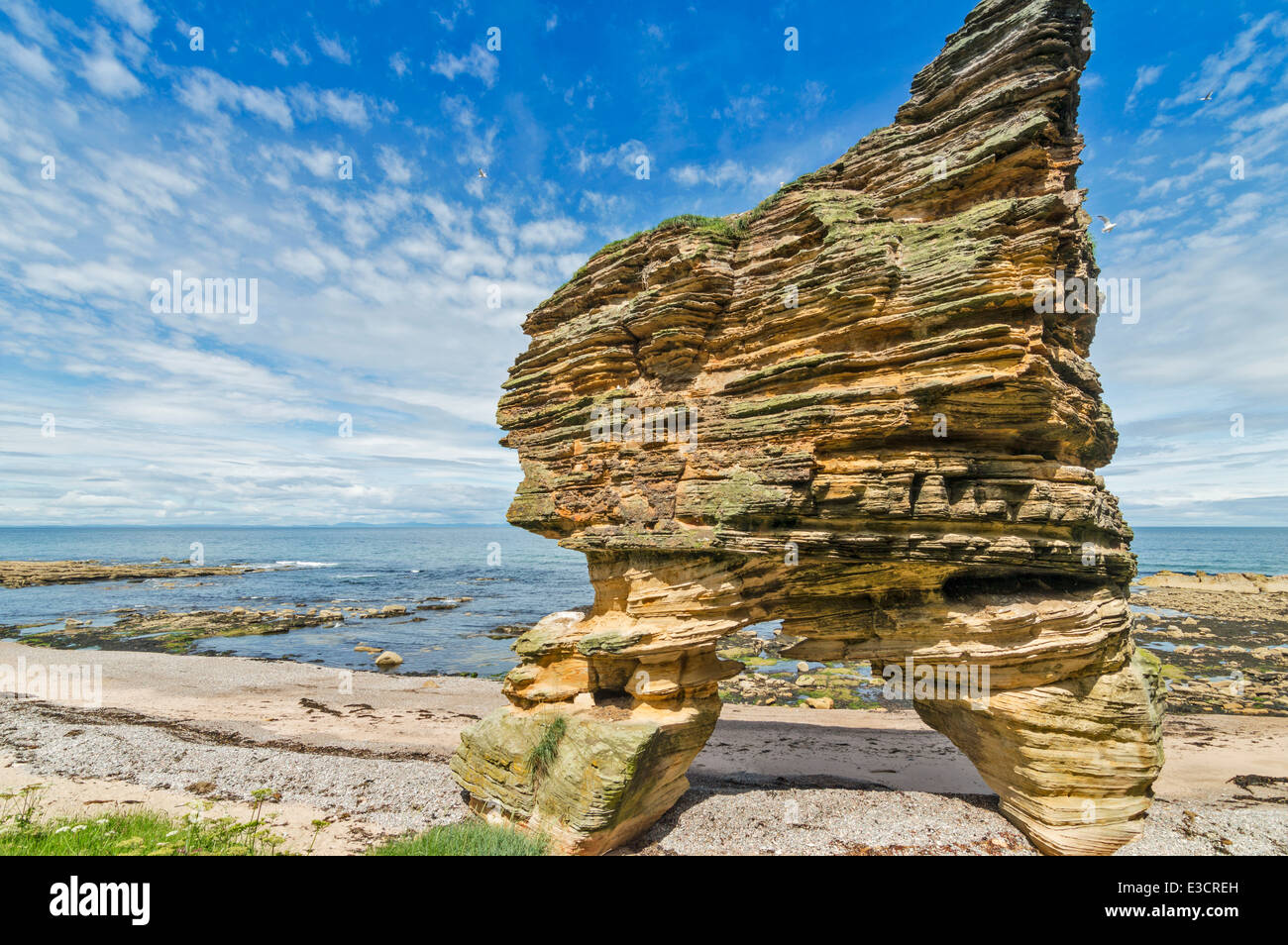 STACK DI MARE gigante con due gambe lungo il MORAY COAST TRAIL VICINO HOPEMAN Scozia Scotland Foto Stock